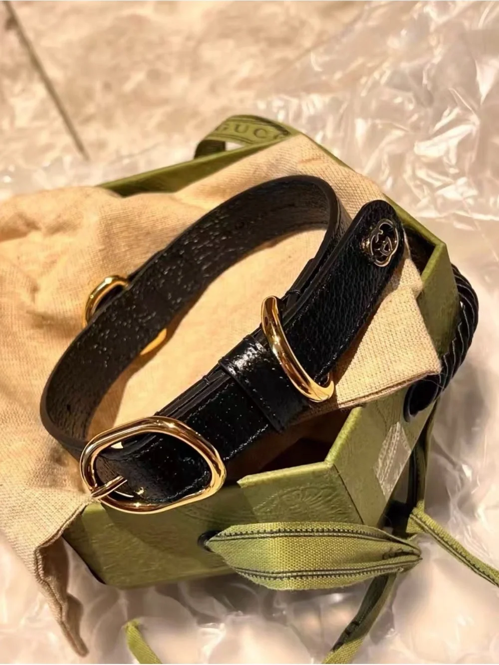 NWT Gucci Pet Collar Black Leather Gold-Tone Buckle